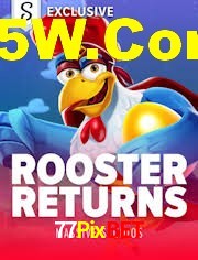 Crash Games Strategies 77Pixbet